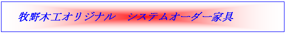 VXeƋ@I[_[Ƌ
