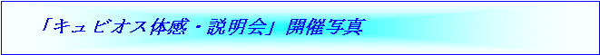 LrIX