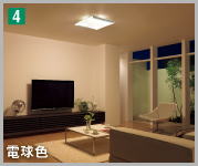 kdc_ECg@